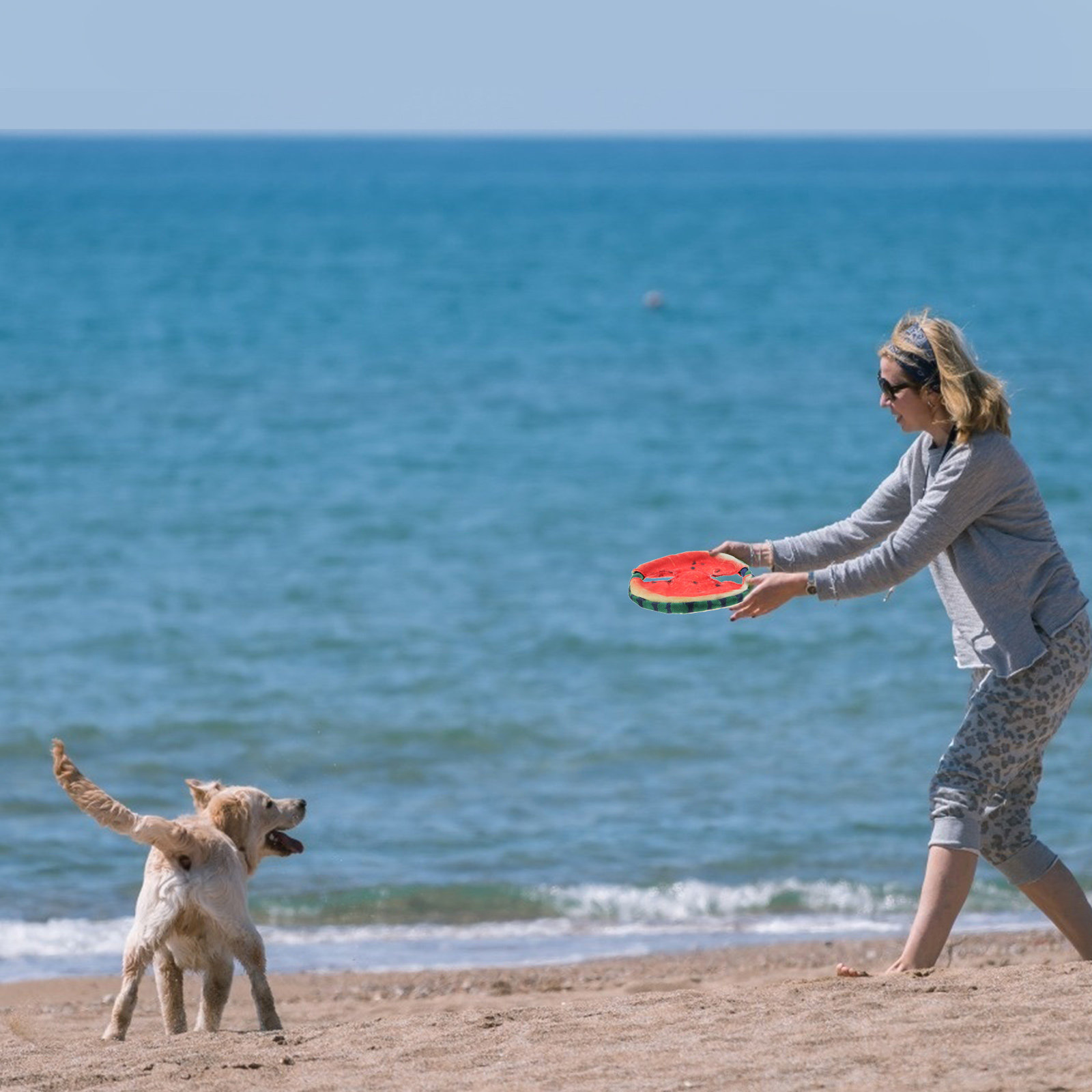 Flying Disc Dog Training Toy - لعبة تدريب الحيوانات الأليفة خفيفة الوزن