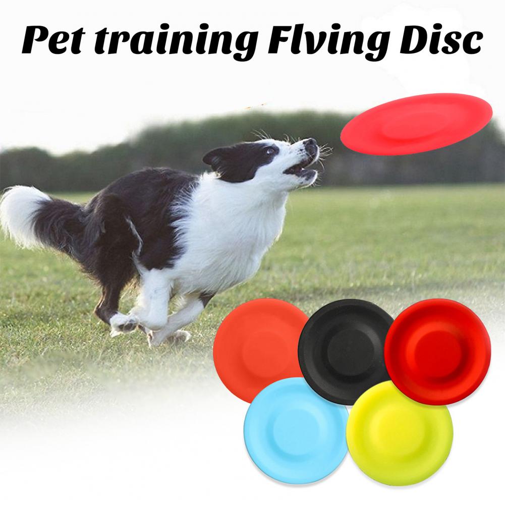 Flying Disc Dog Training Toy - لعبة قرص طائر للكلاب ، جيل