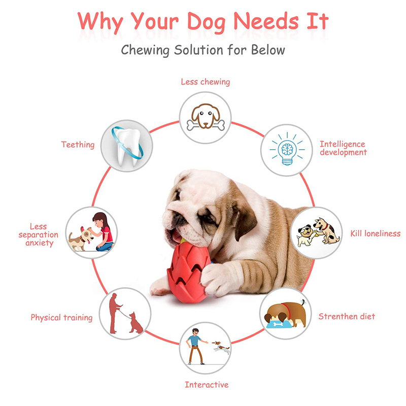 Benepaw-ألعاب مضغ للكلاب الصغي - مراجعة Indestructible Dog Chew Toy وسعره