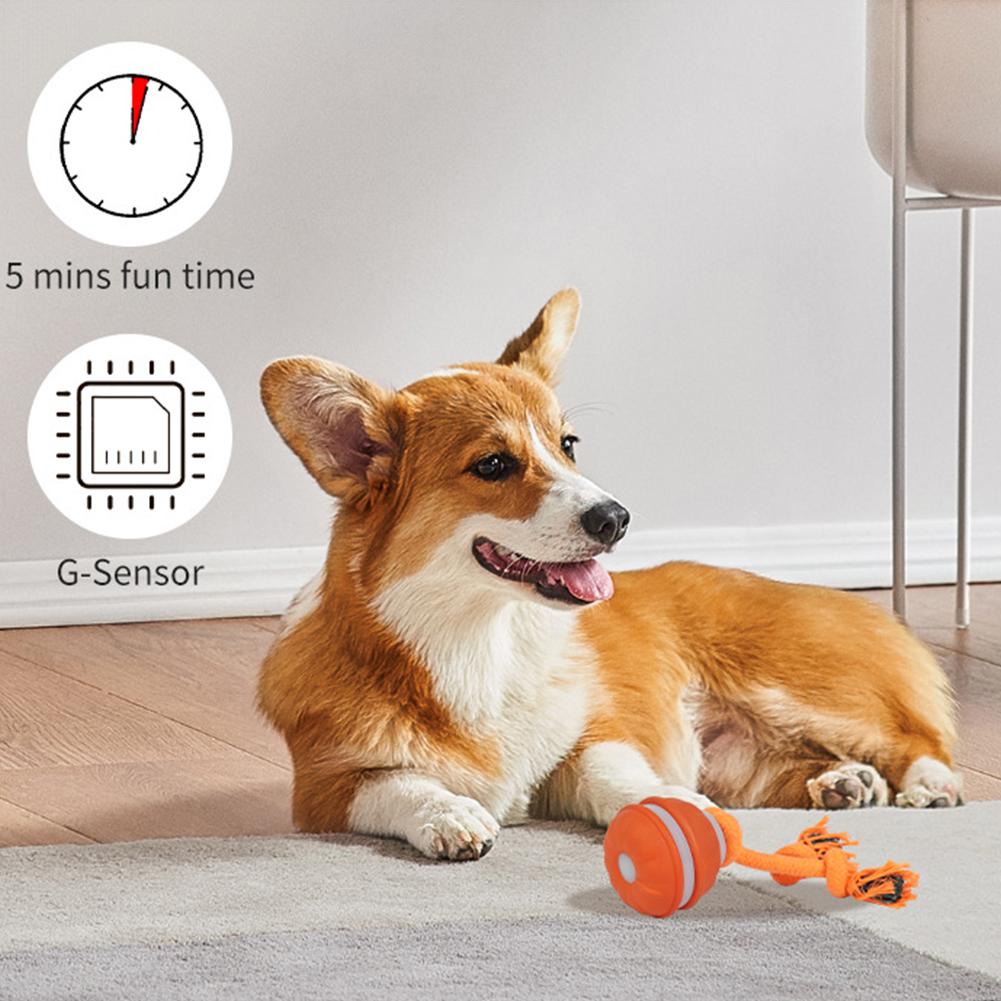 كرة الحيوانات الأليفة للكلاب أ - مراجعة Automatic Moving Dog Ball وسعره