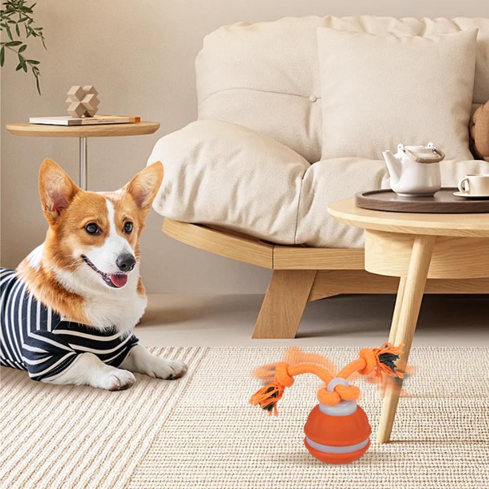 كرة الحيوانات الأليفة للكلاب أ - مراجعة Automatic Moving Dog Ball وسعره