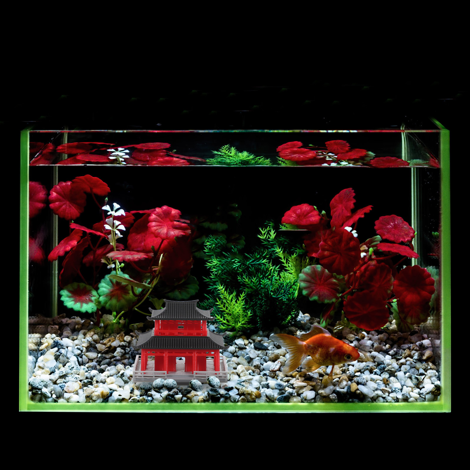 برج الصين القديم باللونين الأس - مراجعة Aquarium وسعره