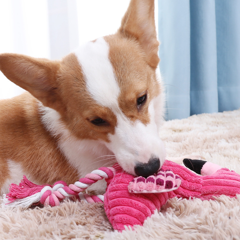 شكل حيوان صار اللعب أفخم لعبة  - مراجعة Indestructible Dog Chew Toy وسعره