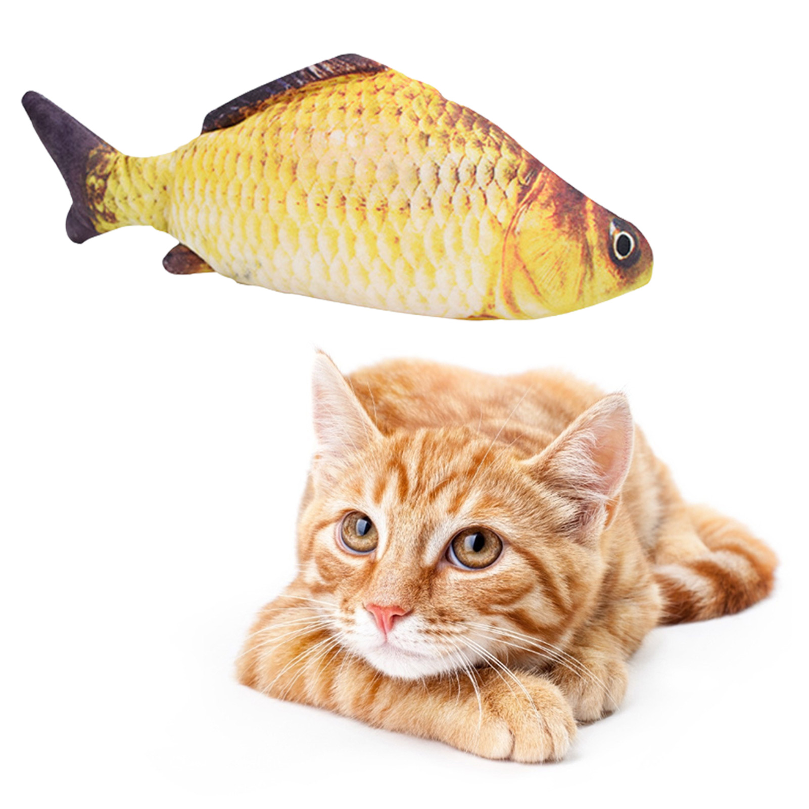 ألعاب القطط على شكل سمكة، تشحن - مراجعة Electric Floppy Fish Dog Toy وسعره