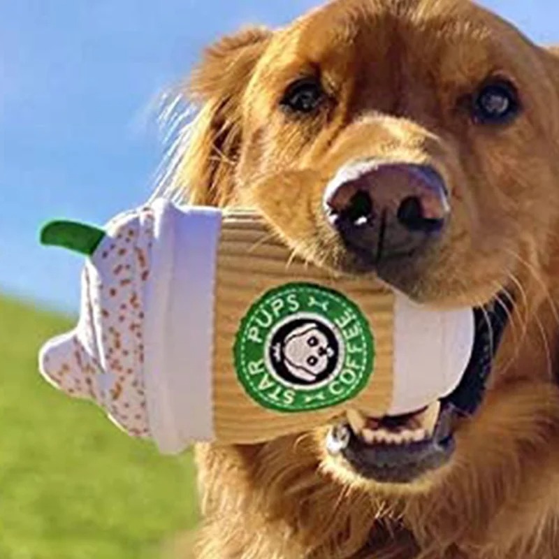 لعبة للكلاب على شكل كوب لاتيه، - مراجعة Interactive Squeaky Plush Dog Toy وسعره