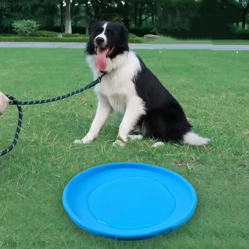 لعبة طبق طائر تفاعلية من السيل - مراجعة Flying Disc Dog Training Toy وسعره