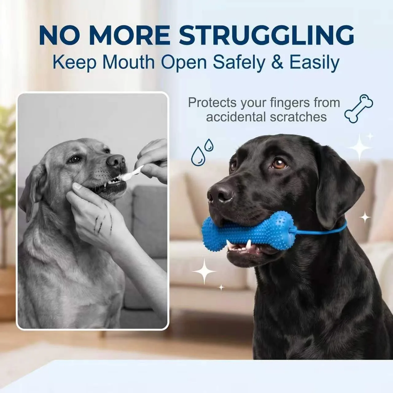 لعبة مضغ قابلة لإعادة الاستخدا - مراجعة Teeth Cleaning Dog Chew Bone وسعره