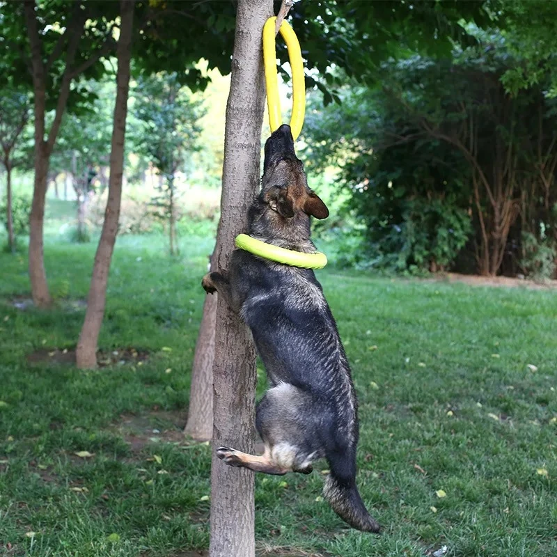 أقراص تحلق إيفا الكلب التدريب  - مراجعة Indestructible Dog Chew Toy وسعره