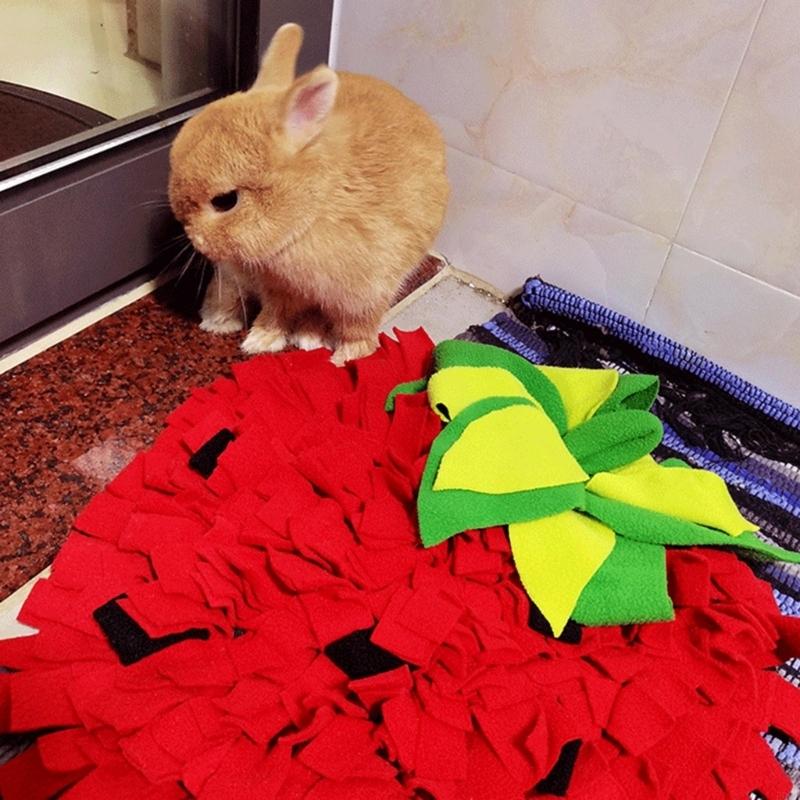 حصيرة سنفل كبيرة الحجم للكلاب  - مراجعة Snuffle Mat For Dogs وسعره