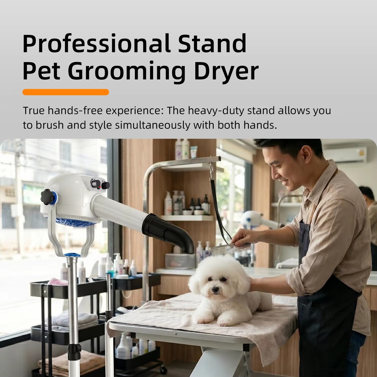 حامل مجفف الحيوانات الأليفة ال - مراجعة Pet Grooming وسعره