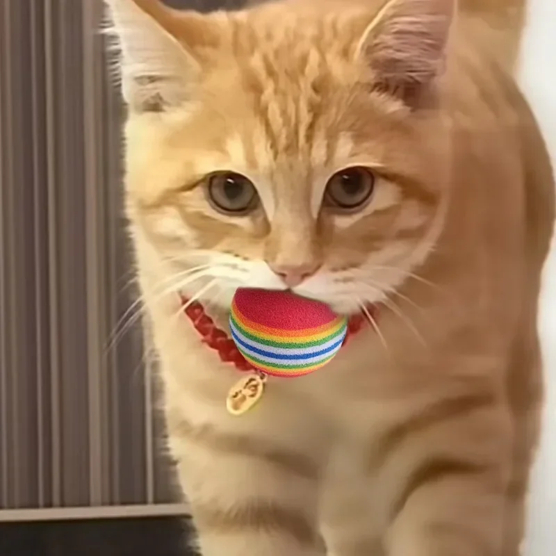 100/10 قطعة كرات لعبة الحيوانا - مراجعة Interactive Squeaky Plush Dog Toy وسعره