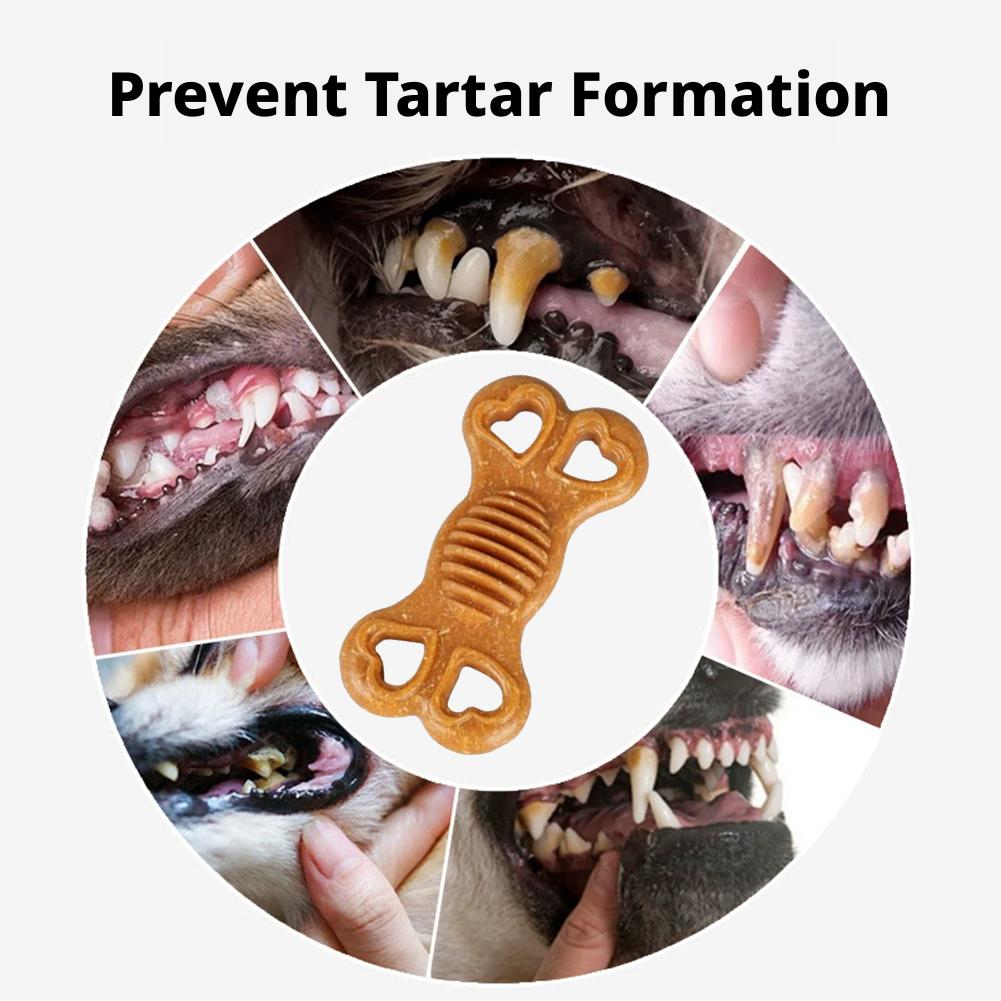 لعبة عض للكلاب غير قابلة للتلف - مراجعة Teeth Cleaning Dog Chew Bone وسعره