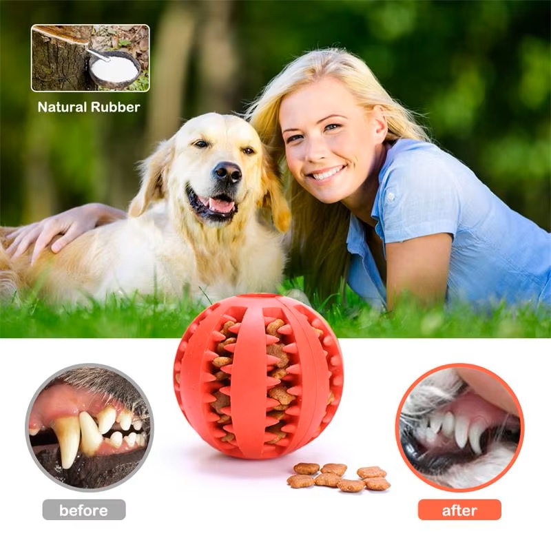 كرة مطاطية تفاعلية من السيليكو - مراجعة Dog Puzzle Feeder Toy وسعره